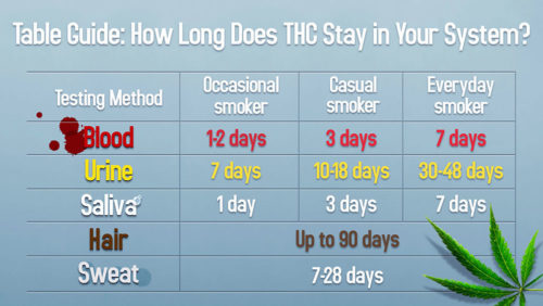 how long does it take labetalol to leave your system