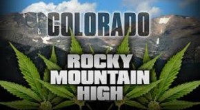 Colorado Did $700 Million in Official Weed Sales Last Year!