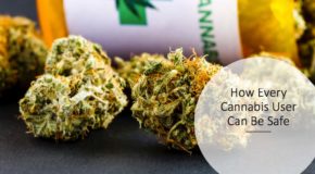 How Every Cannabis User Can Be Safe