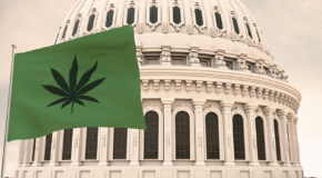 How To Get Weed in Washington, DC in 2022 : The Ultimate Guide